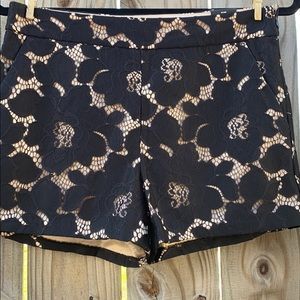 6 Express shorts
